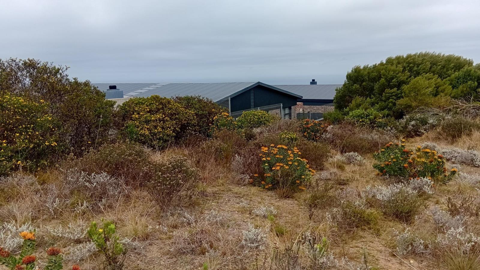 1 104 m² Land available in Dana Bay