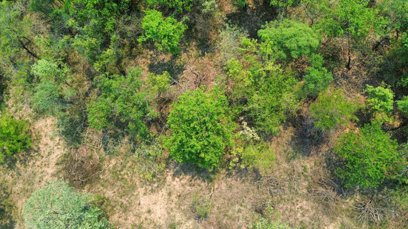 8 471 m² Land available in Hazyview