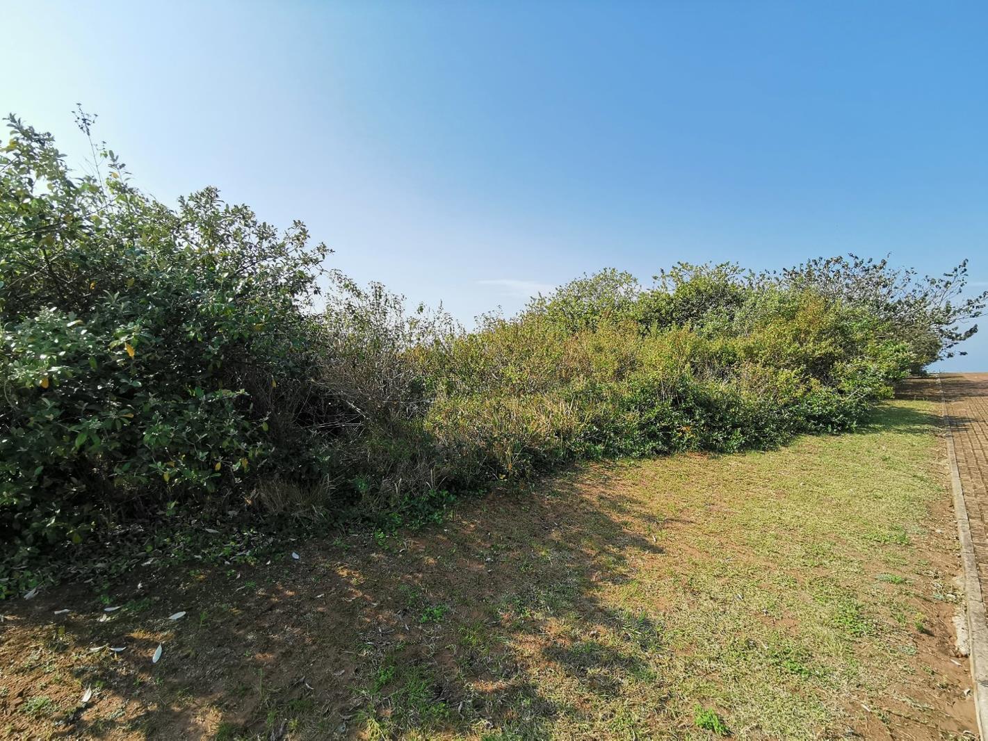 1 479 m² Land available in Port Edward