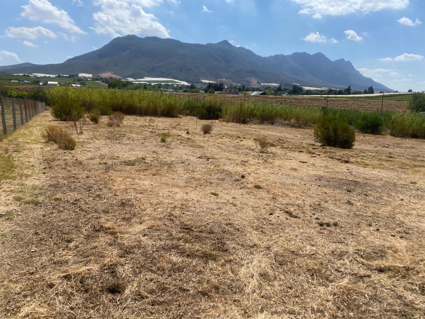 4 343 m² Land available in Riebeek Kasteel