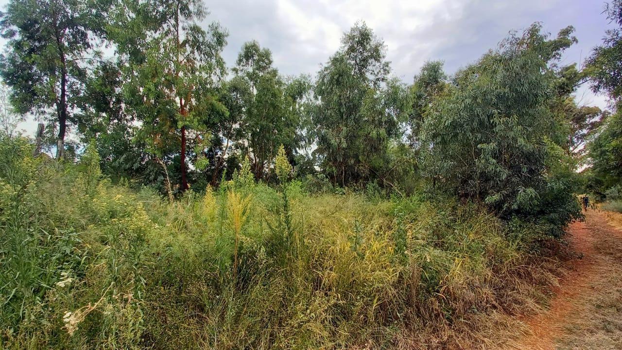 1 ha Land available in Homestead Apple Orchards