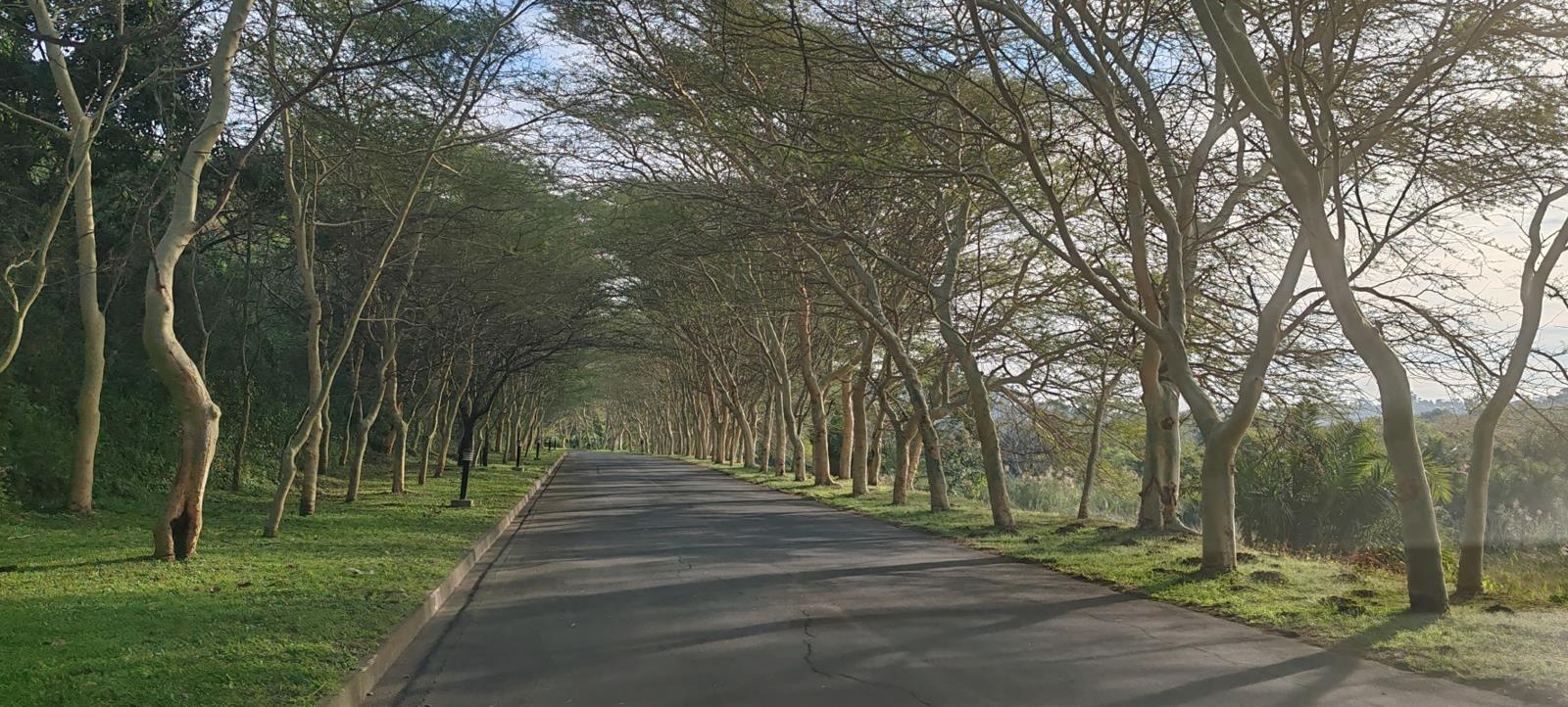 518 m² Land available in Shelly Beach