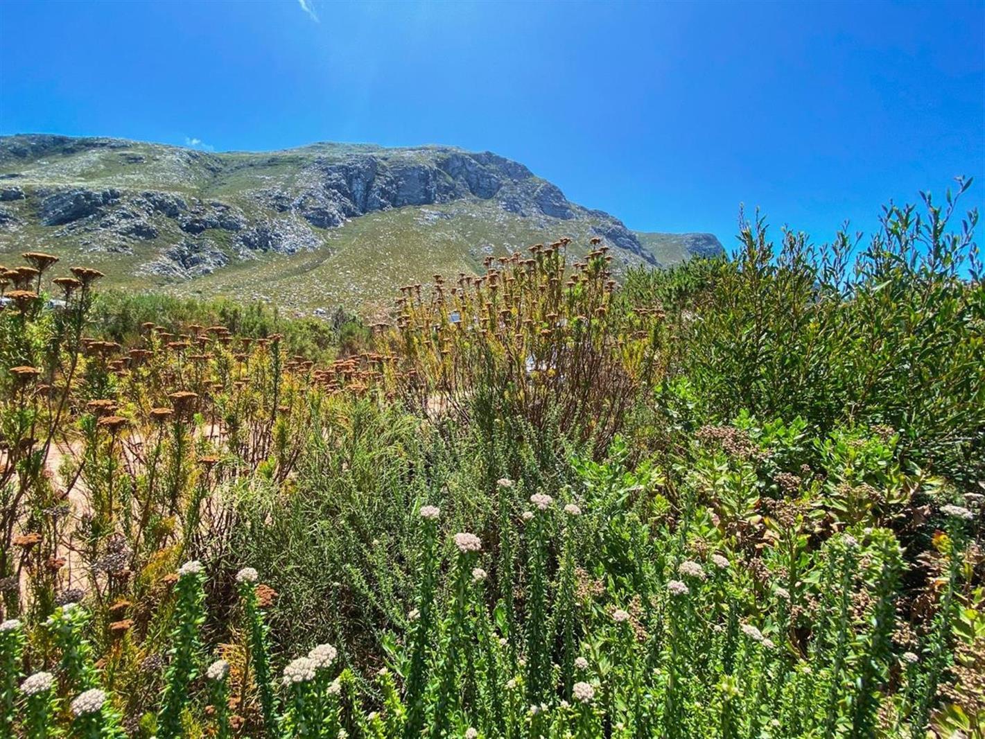 880 m² Land available in Bettys Bay