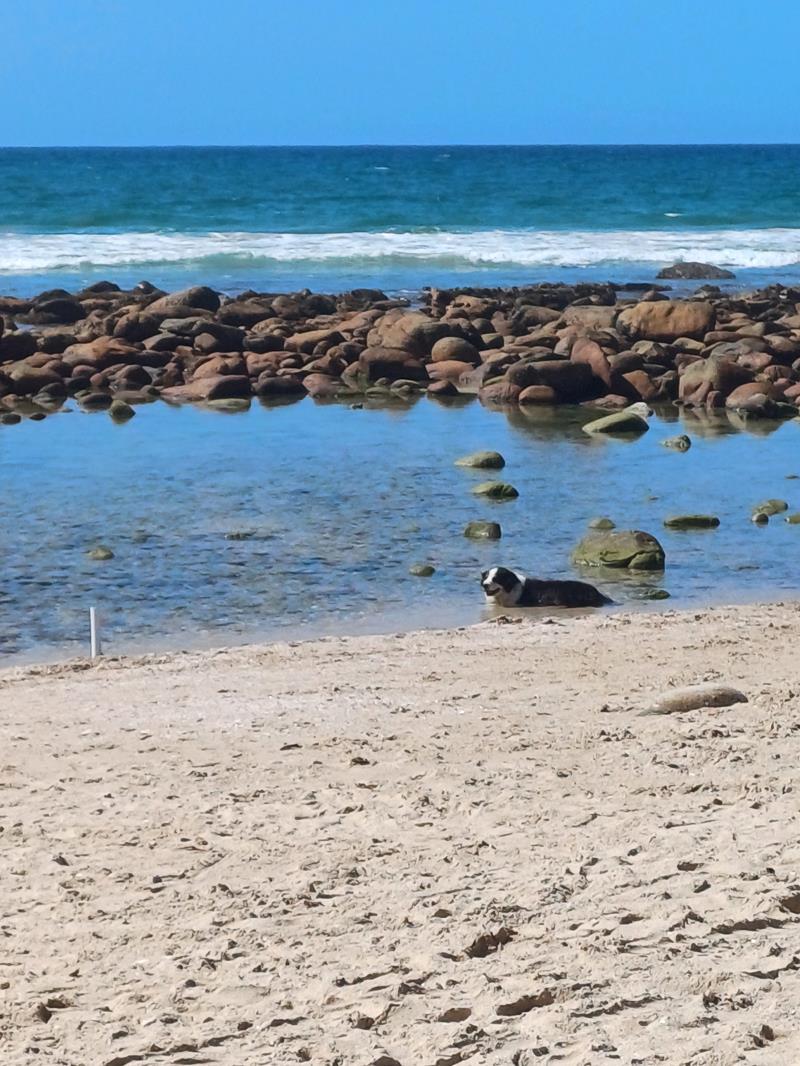705 m² Land available in St Francis Bay