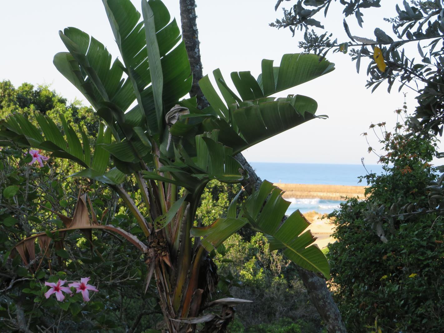 665 m² Land available in Port Alfred