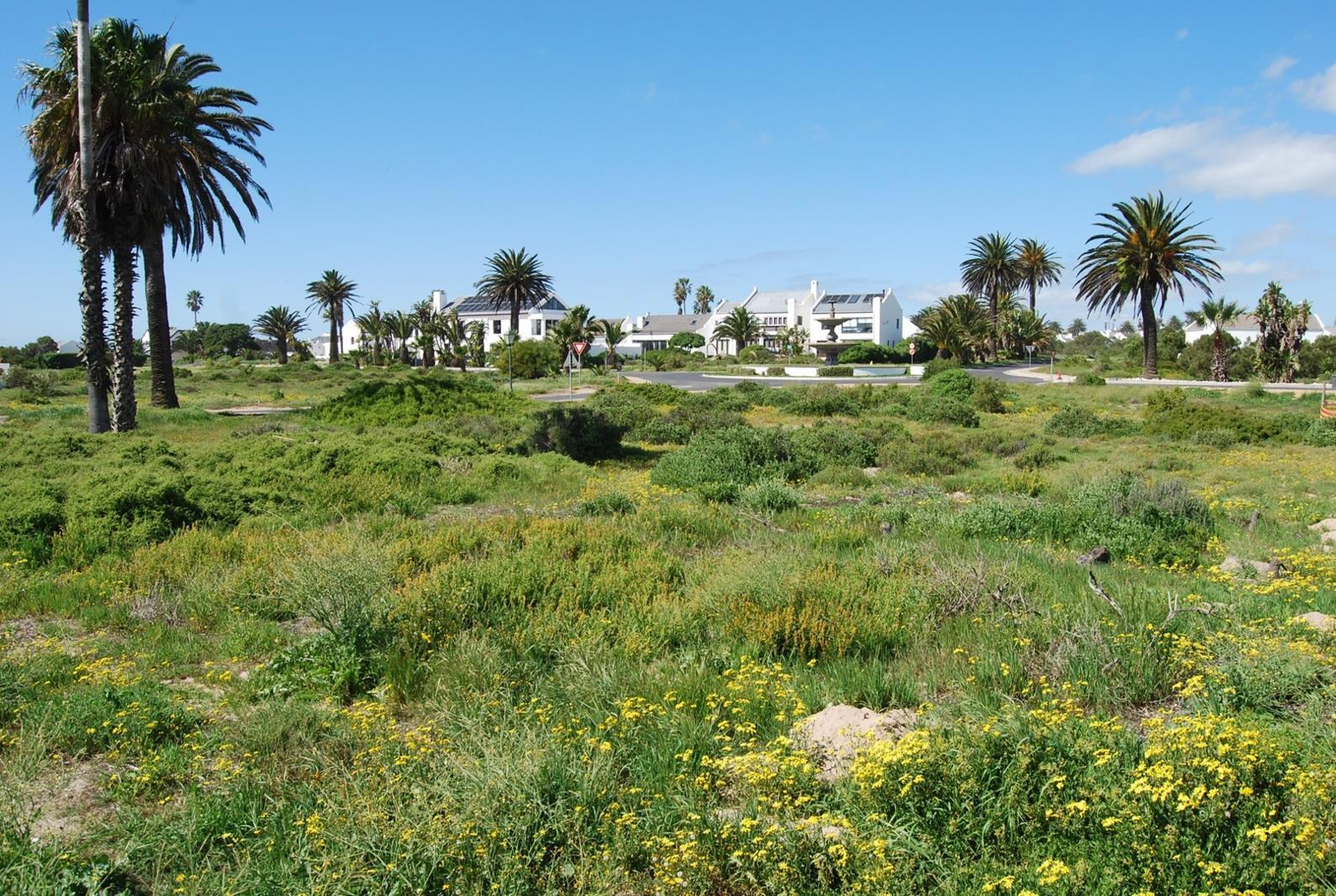 214 m² Land available in Shelley Point