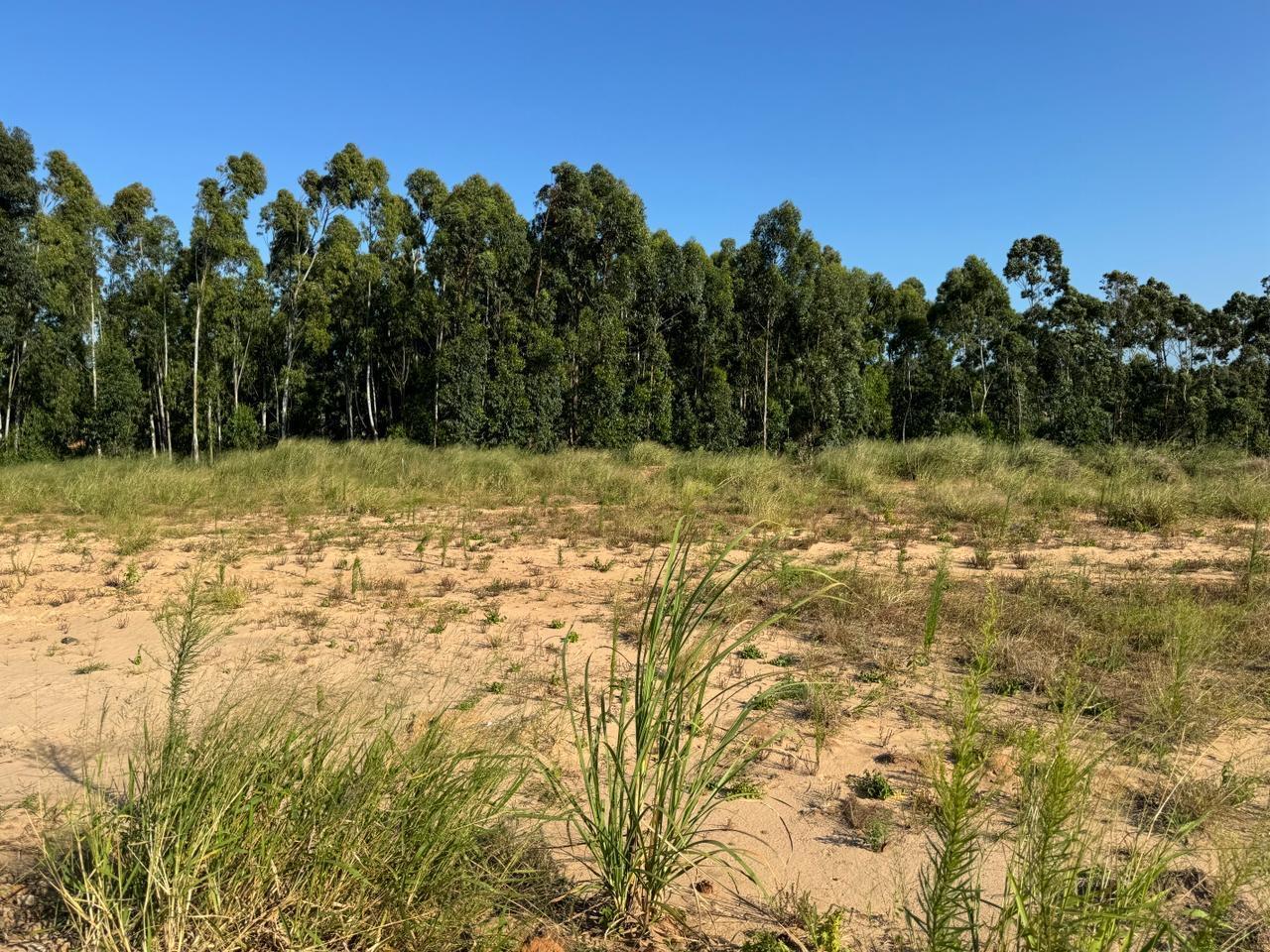 495 m² Land available in Elaleni Coastal Forest Estate