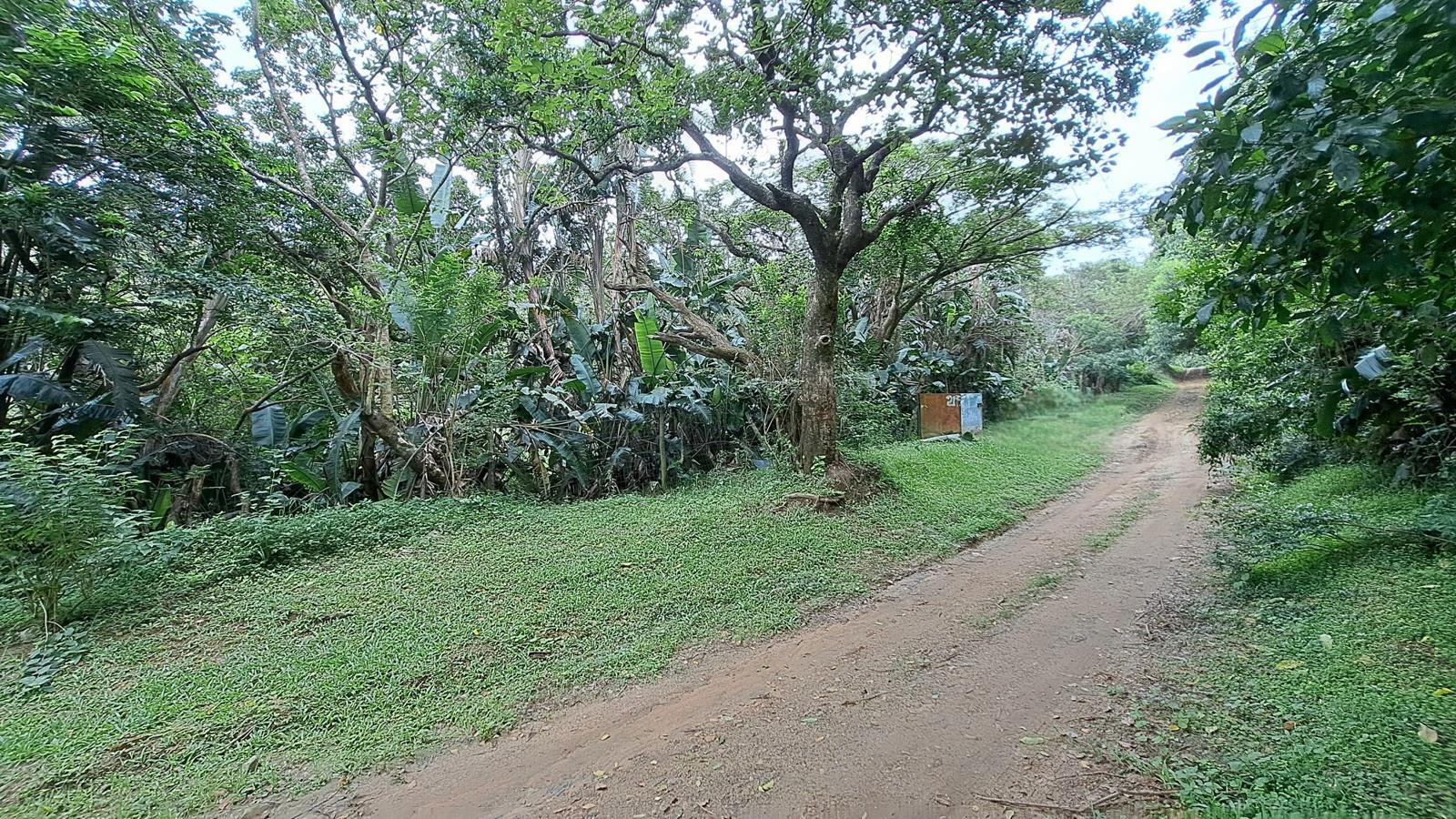 2 115 m² Land available in Hibberdene