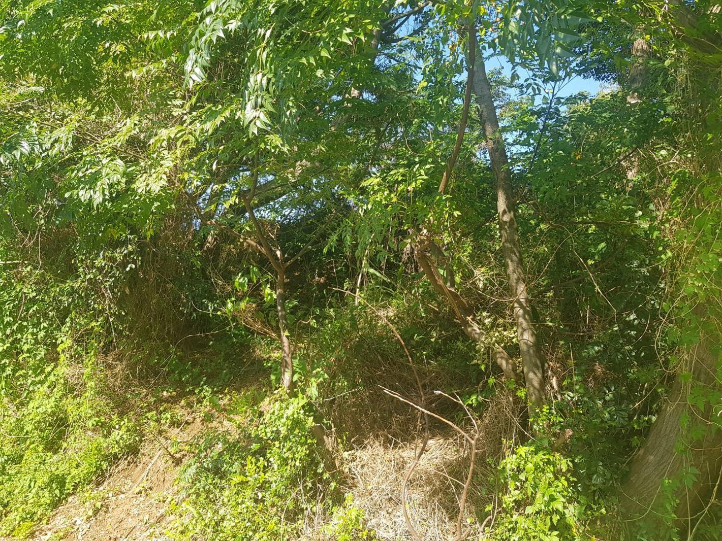 2 067 m² Land available in Umkomaas