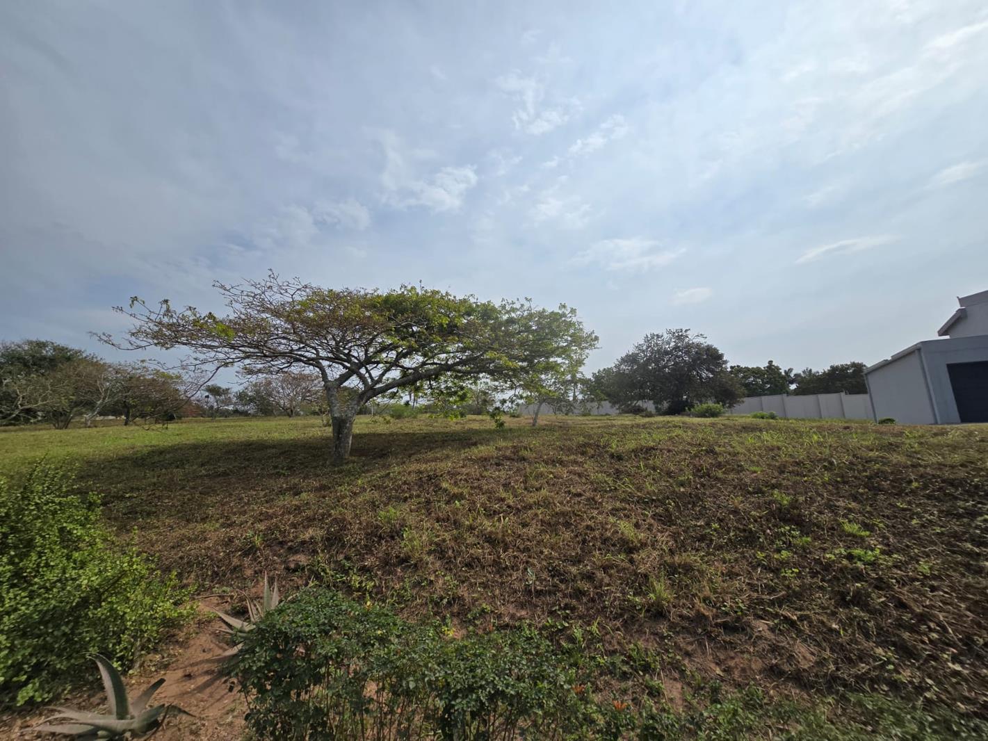 1 164 m² Land available in Zinkwazi Beach